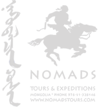 nomades tours