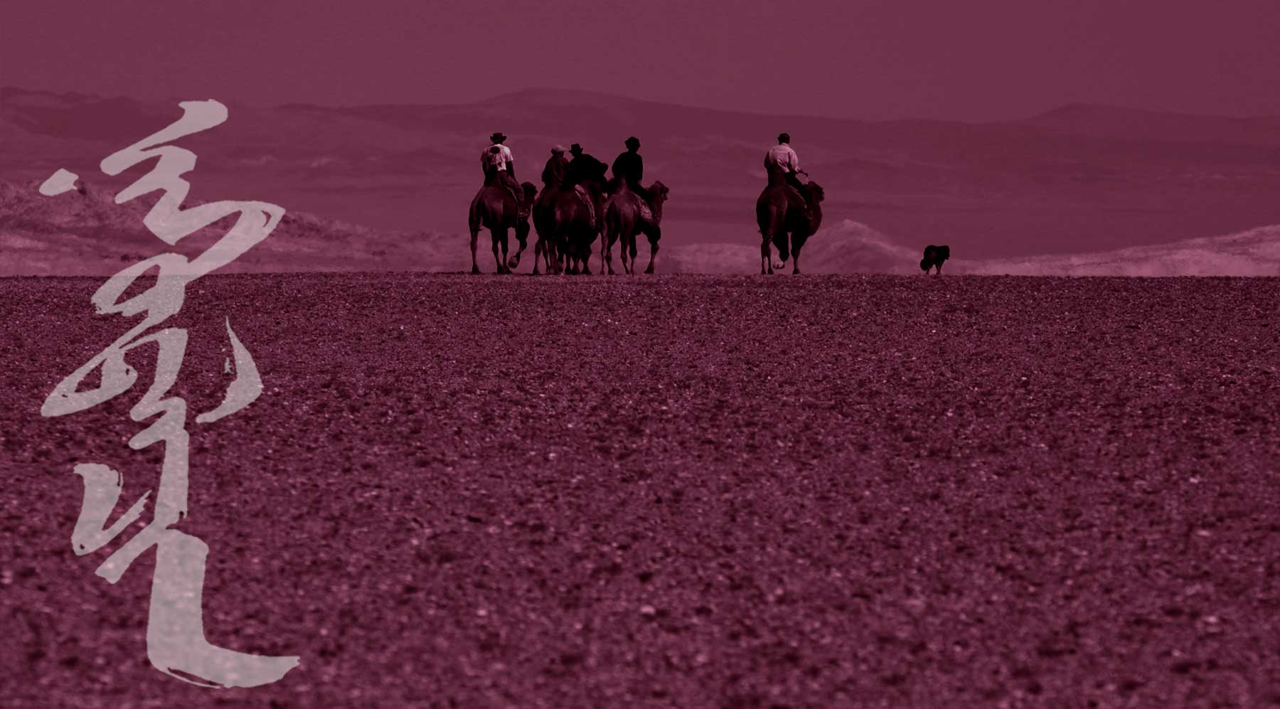 MONGOLIA TRAVEL PHOTOS - Camel Riding Gobi Desert - Sound of Silence - Mongolia Nomads Tours