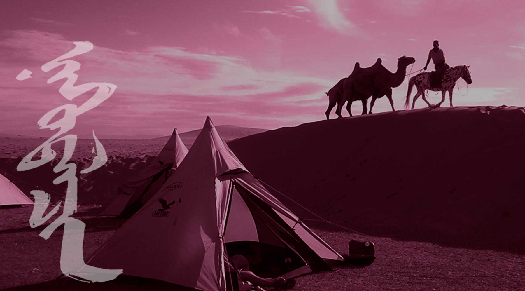 MONGOLIA TRAVEL PHOTOS - Gobi Desert Camel Riding - Mongolia Nomads Tours