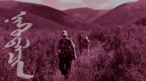 MONGOLIA TRAVEL PHOTOS - Walk and Camp at Terelj - Short Stay Excursions - Mongolia Nomads Tours